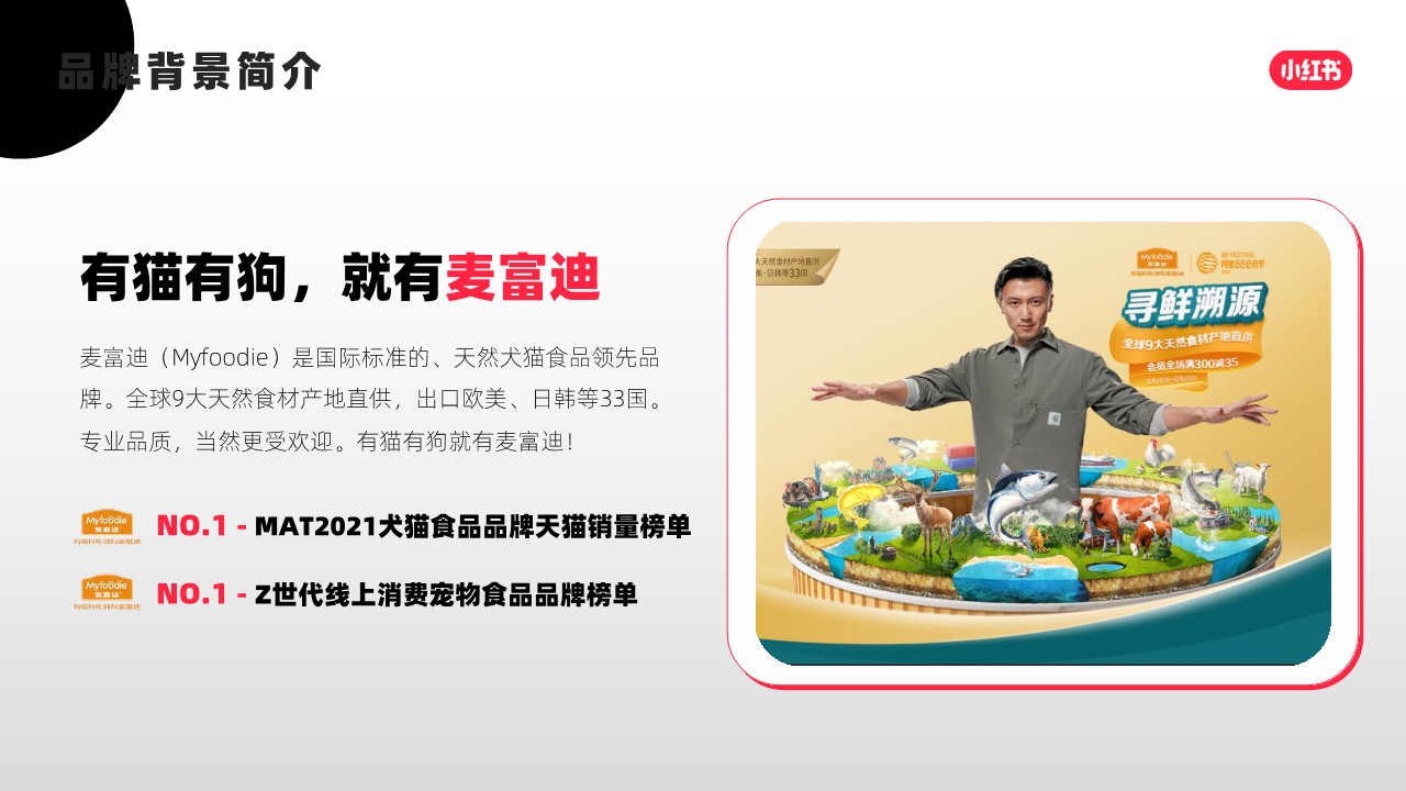 猫粮品牌小红书口碑营销复盘结案 第3页