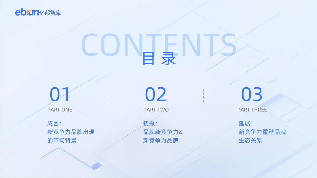 2024新竞争力品牌洞察报告 第3页