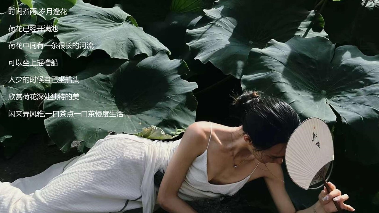 2024文旅项目国庆系列&ldquo;都市里的荷花坞&rdquo;活动策划方案【国庆节】 第2页