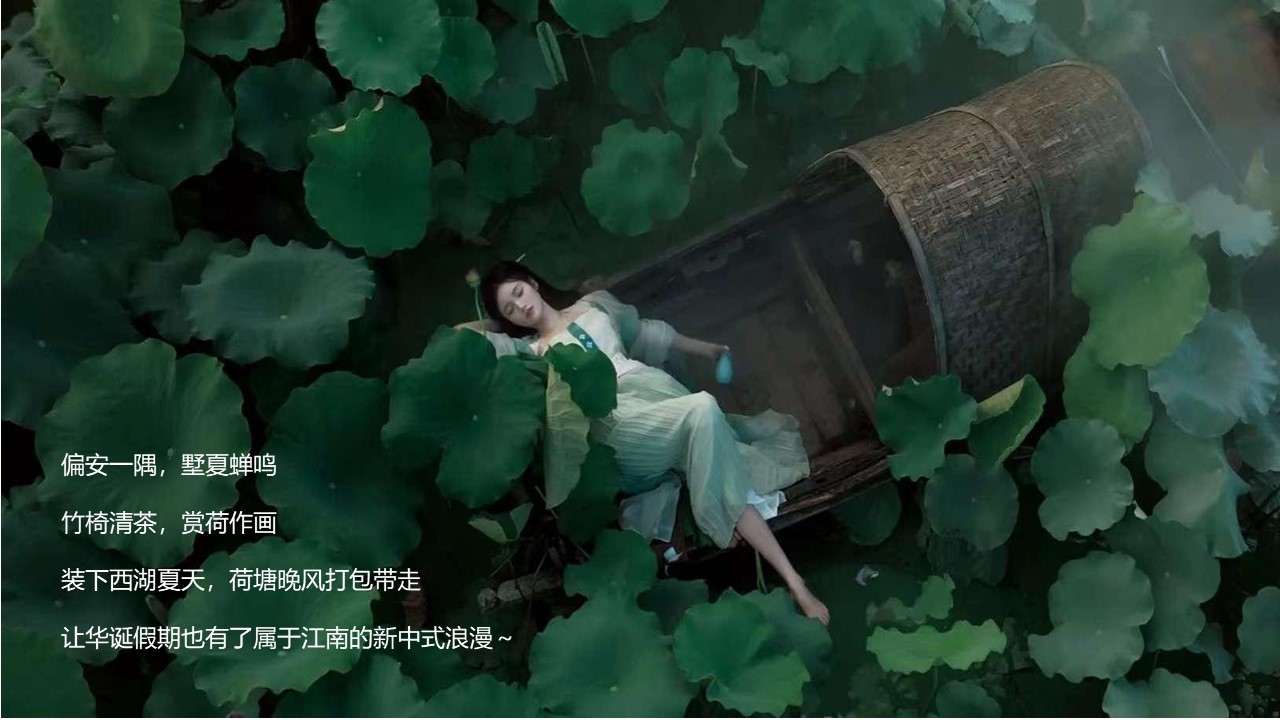 2024文旅项目国庆系列&ldquo;都市里的荷花坞&rdquo;活动策划方案【国庆节】 第3页