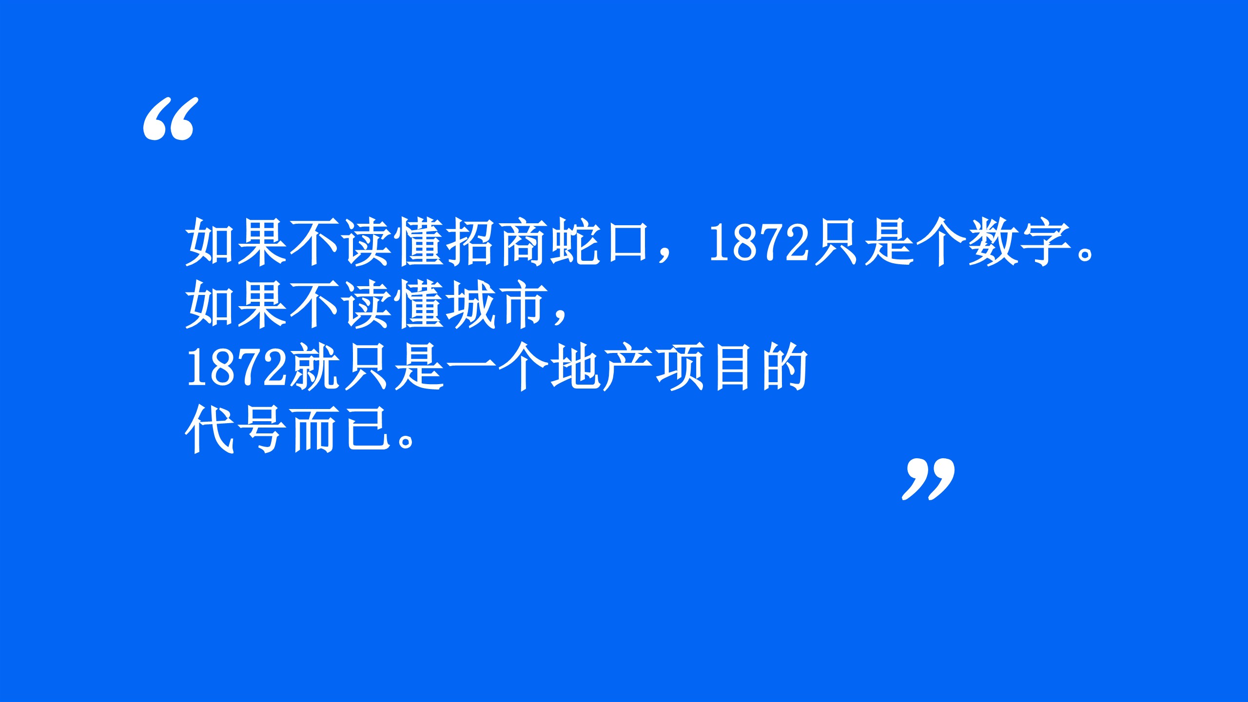 房地产超级大盘项目品牌传播策略案【全案】 第3页