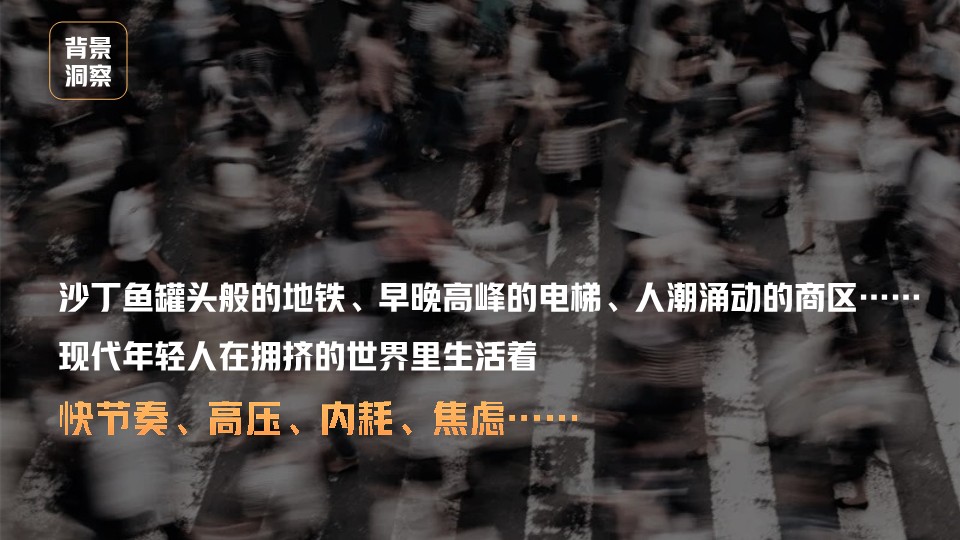 贵州文旅项目《拼个假期去旅行》策划方案【综艺】 第2页