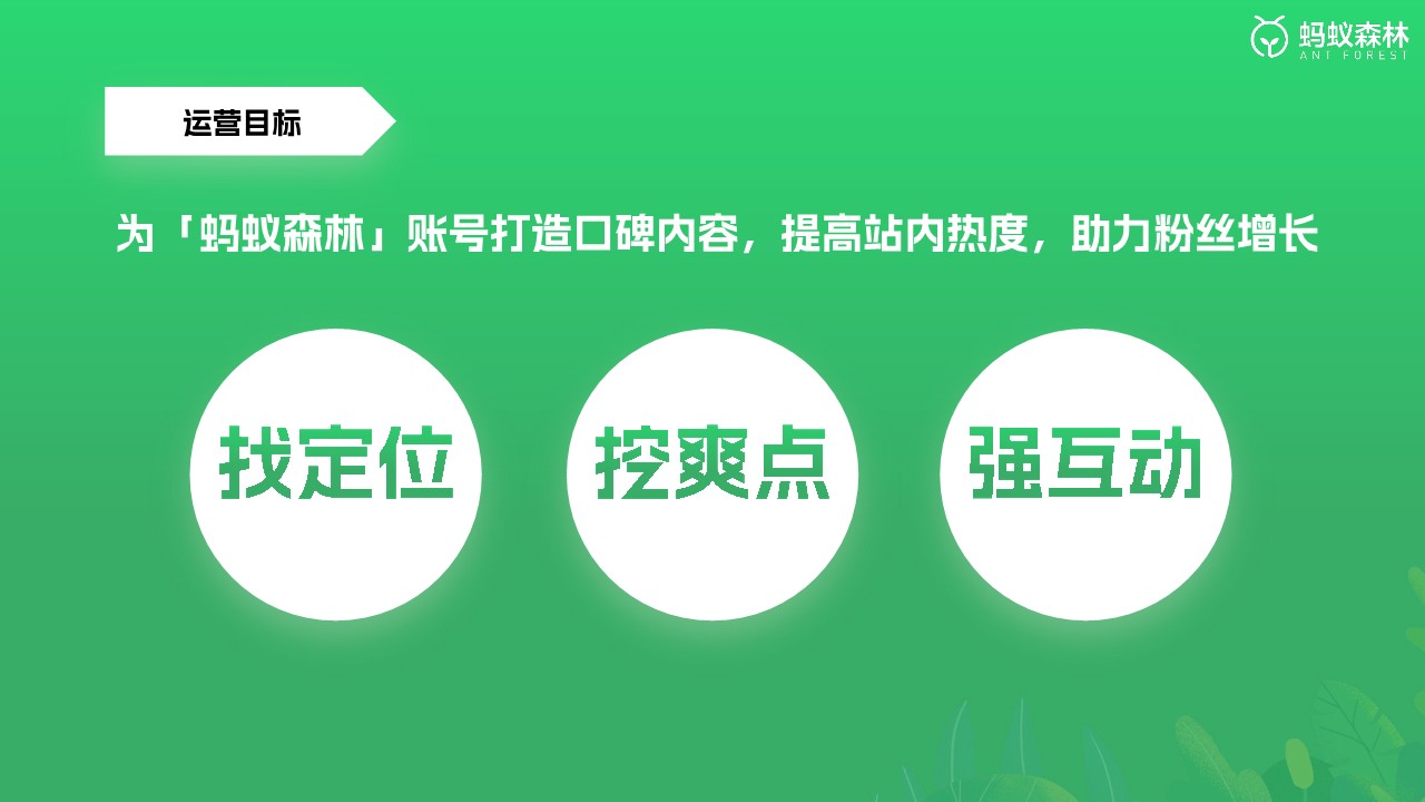 支付宝蚂蚁森林抖音&小红书新媒体账号规划代运营方案 第2页