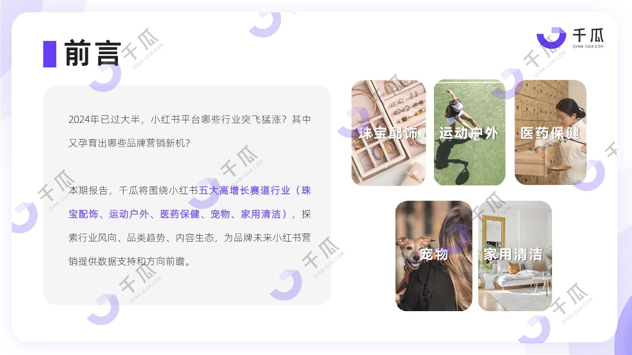 2024年小红书平台高增长赛道洞察报告（珠宝配饰、运动户外、医药保健、宠物、家用清洁） 第2页