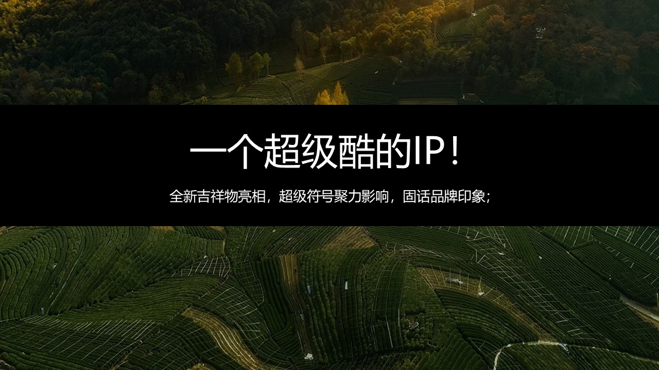 茶文化节集市市集活动策划方案 第2页
