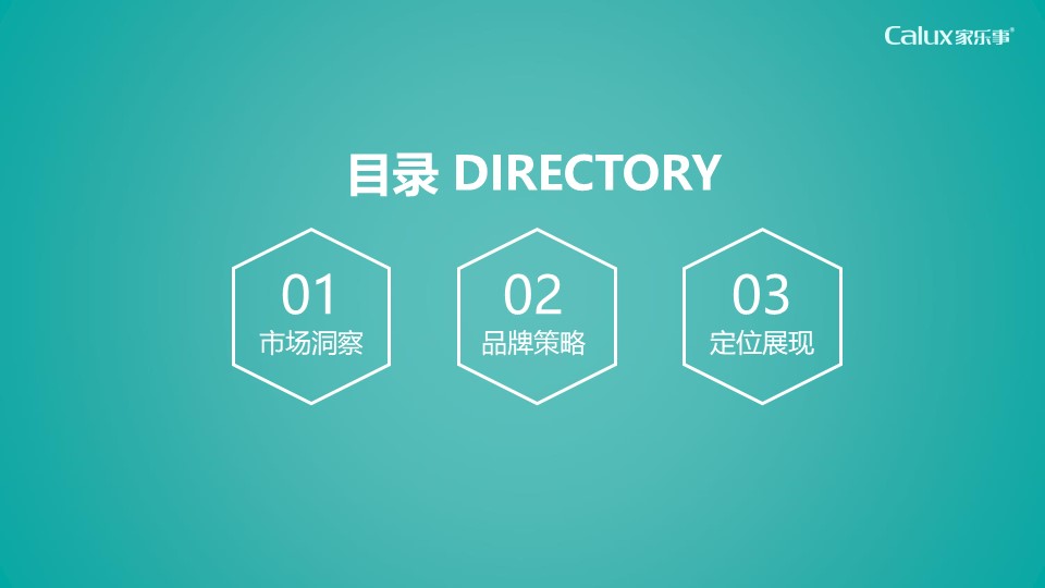 家用净水器品牌策略报告【家居家电】【品牌全案】 第2页