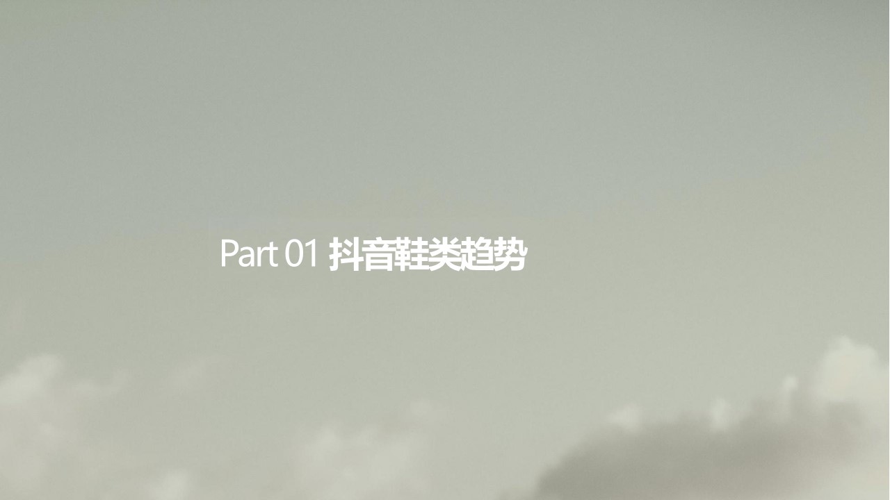 设计师潮鞋品牌抖音星图投放规划案 第2页