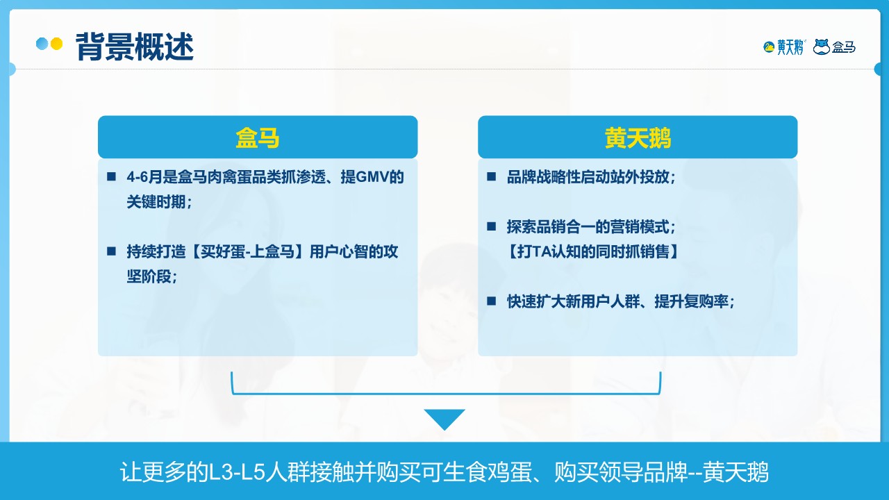 黄天鹅&盒马线上线下营销联动方案 第2页