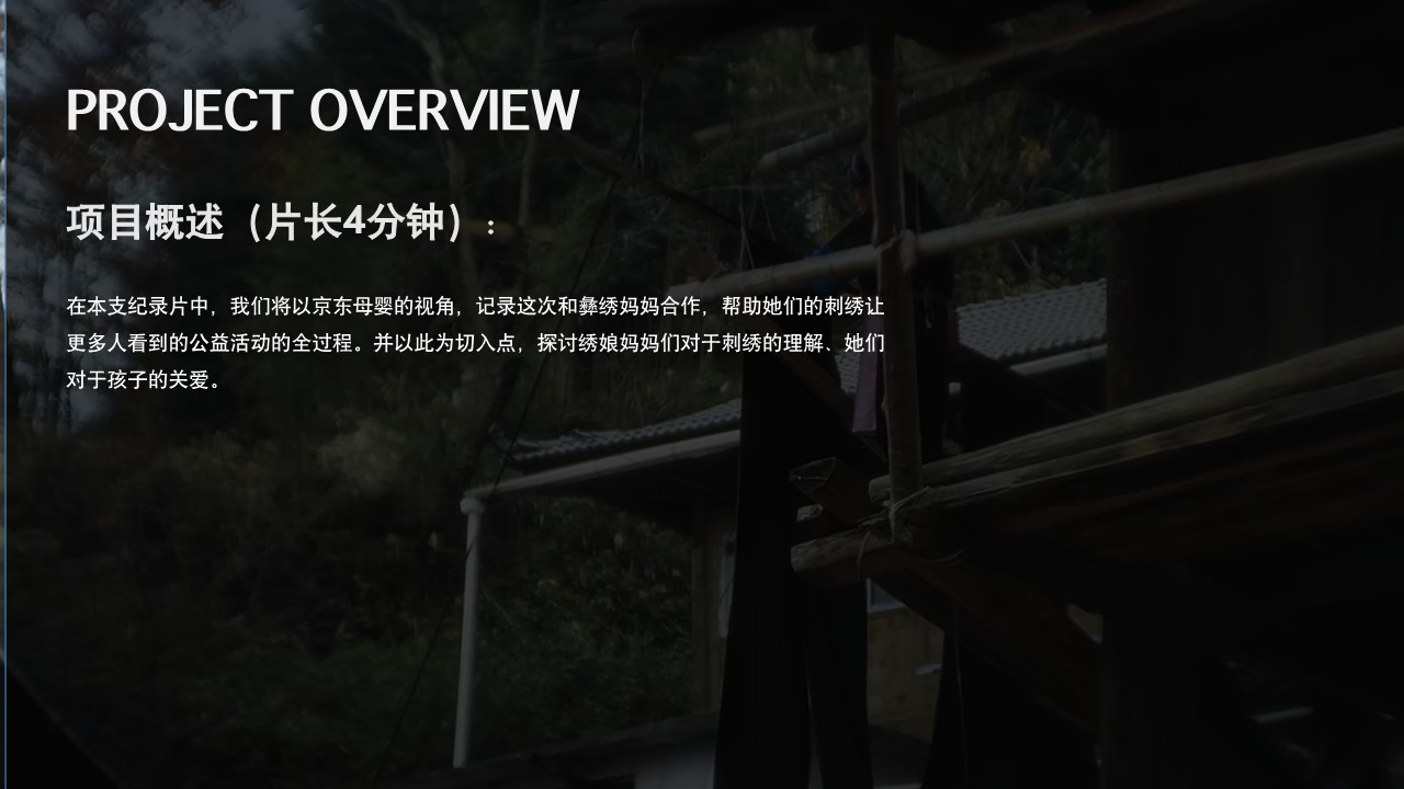短视频分镜头脚本方案《针藏的母爱》 第2页