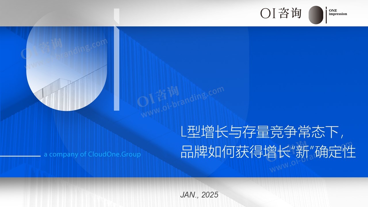 2025年度品牌战略观察 第2页