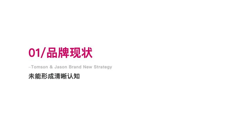 鲜花饼品牌「正宗」战略重塑方案【品牌战略升级】 第2页