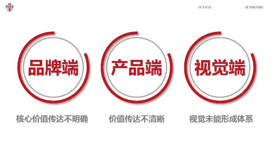 鲜花饼品牌「正宗」战略重塑方案【品牌战略升级】 第3页
