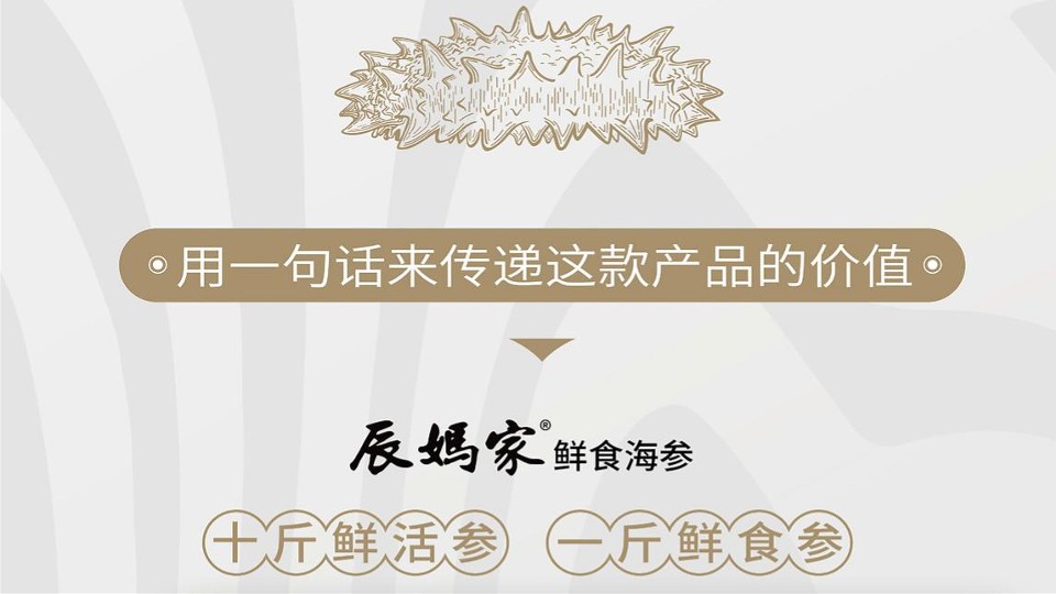 鲜食海参品牌单品包装设计策划案 第3页