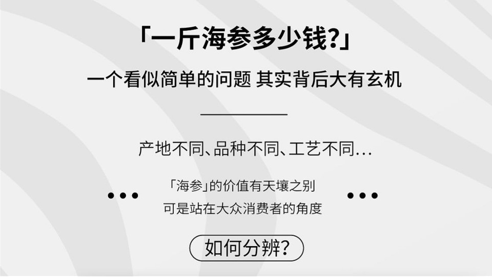 鲜食海参品牌单品包装设计策划案 第2页
