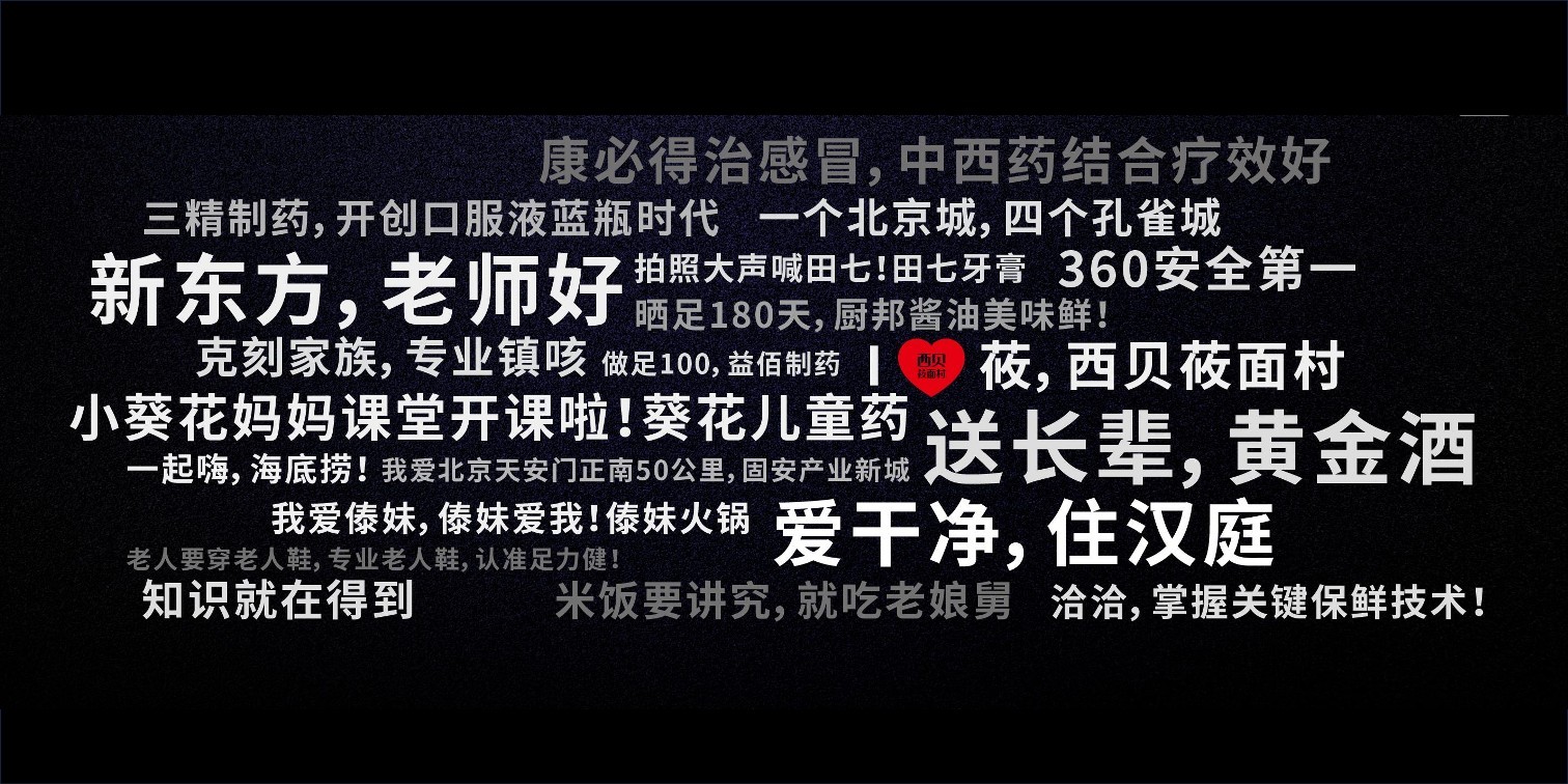 品牌增长之道 华与华品牌新理论 第3页