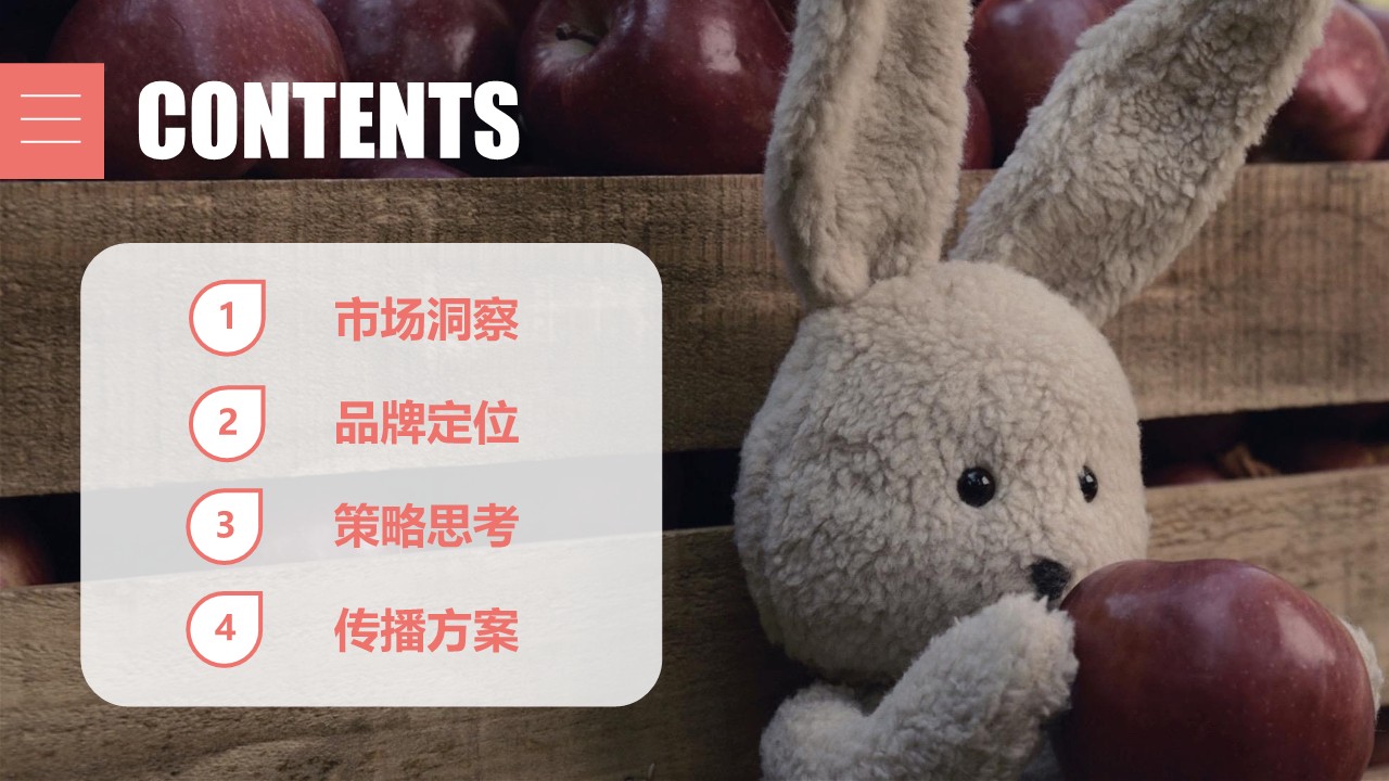 婴幼儿辅食品牌上市营销方案【种草营销】 第2页