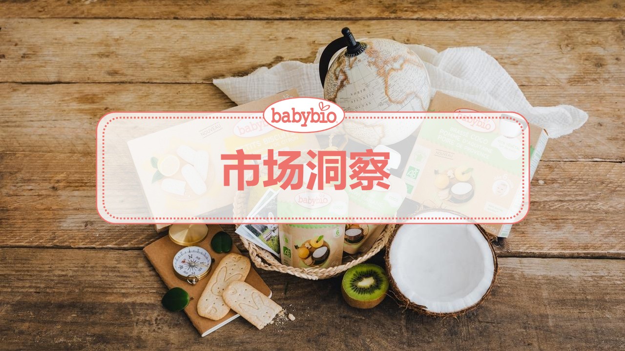 婴幼儿辅食品牌上市营销方案【种草营销】 第3页