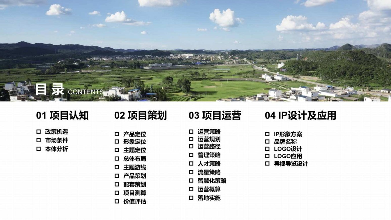 番茄农场品牌项目运营策划全案 第2页