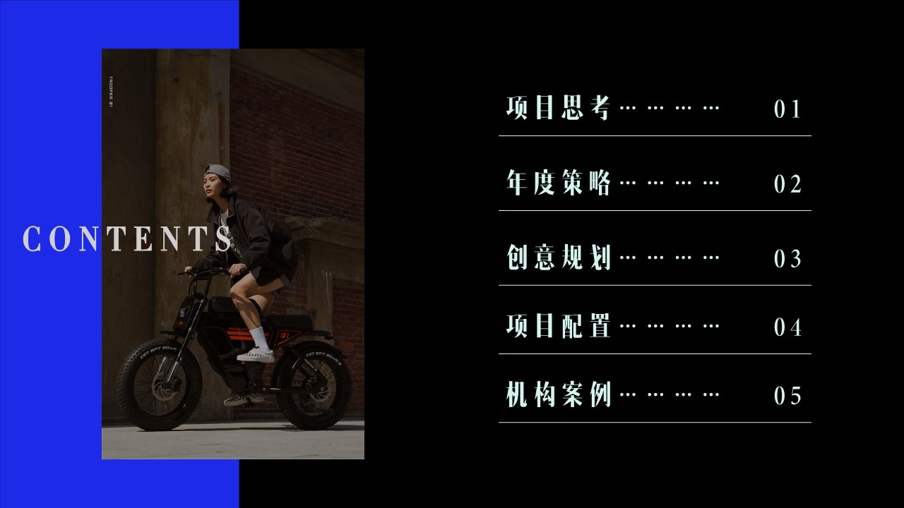 雅迪品牌年度营销方案【年度全案】 第2页