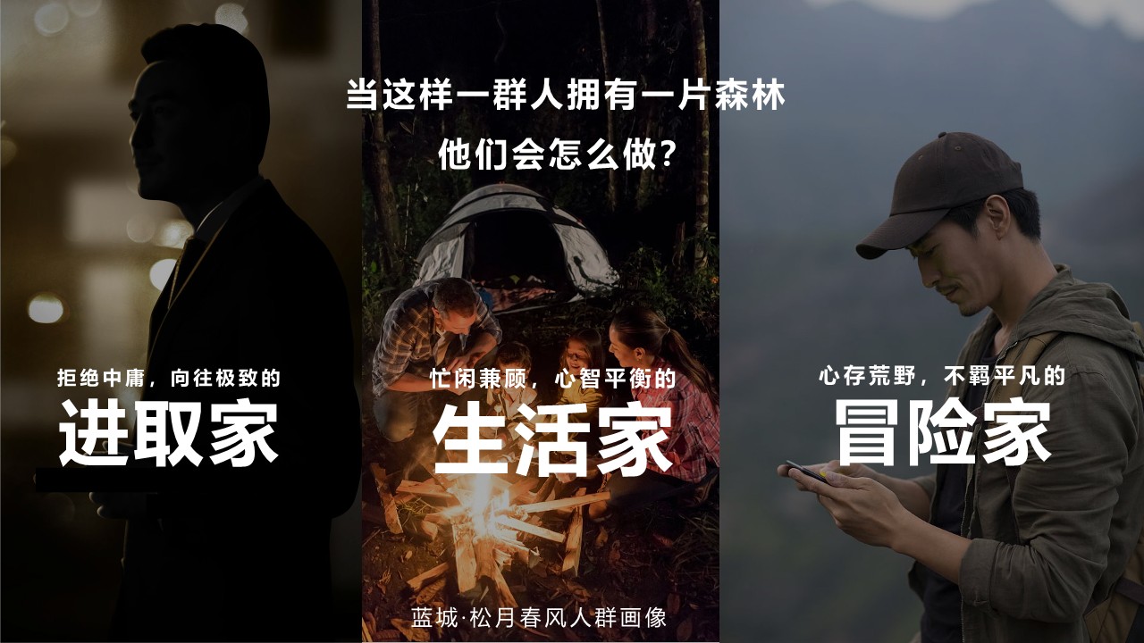 森林文旅景区全年营销规划案【文旅营销全案】 第3页