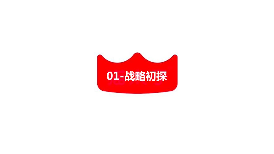 亲子视力矫正器品牌战略升级全案 第2页