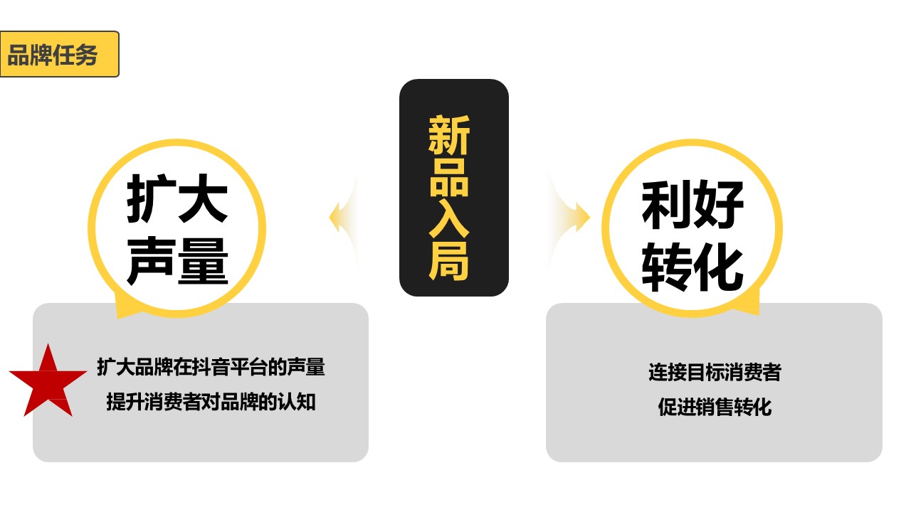 枫岸咖啡抖音传播策略【抖音营销】【短视频营销】 第2页