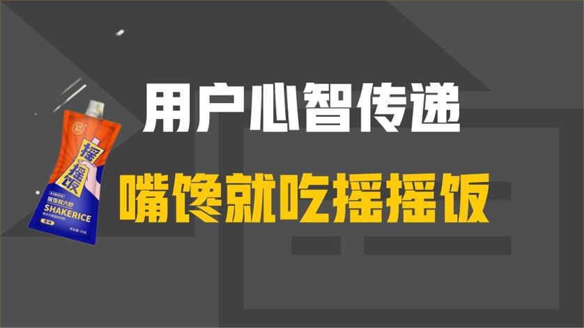 蛋白代餐固体饮料摇摇饭新品营销策划方案 第3页