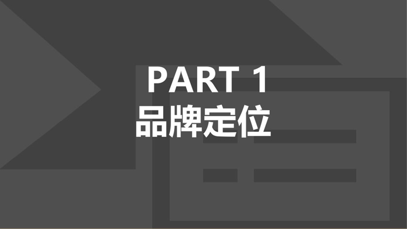 蛋白代餐固体饮料摇摇饭新品营销策划方案 第2页