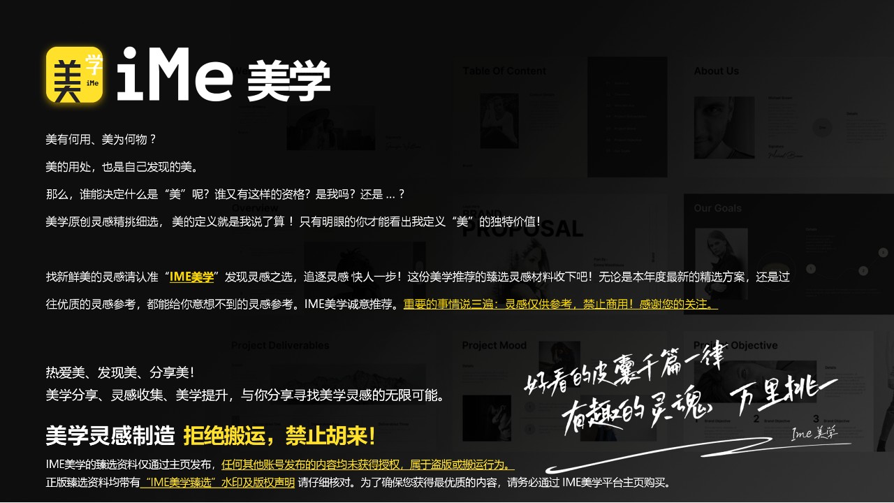 哔哩哔哩宅舞嘉年华BDF2025 招商方案【通案】 第2页