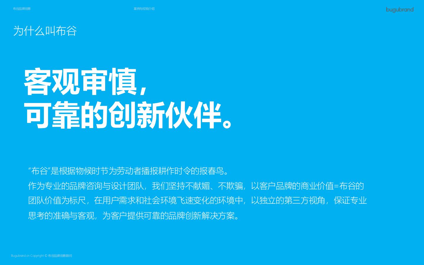 2025布谷品牌介绍及案例 第3页