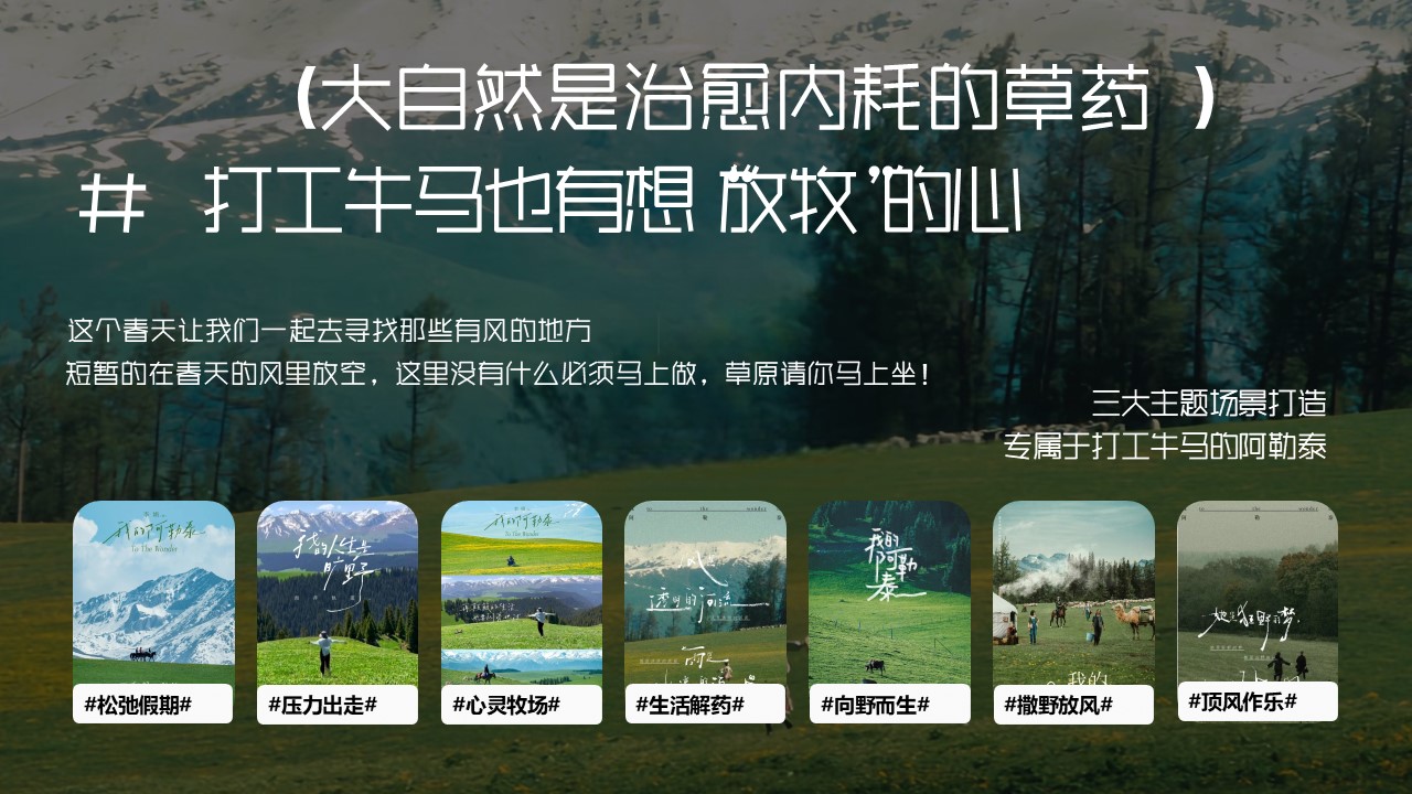 &ldquo;晒太阳是正经事&rdquo;&mdash;五一春季露营市集音乐会【五一活动】 第3页