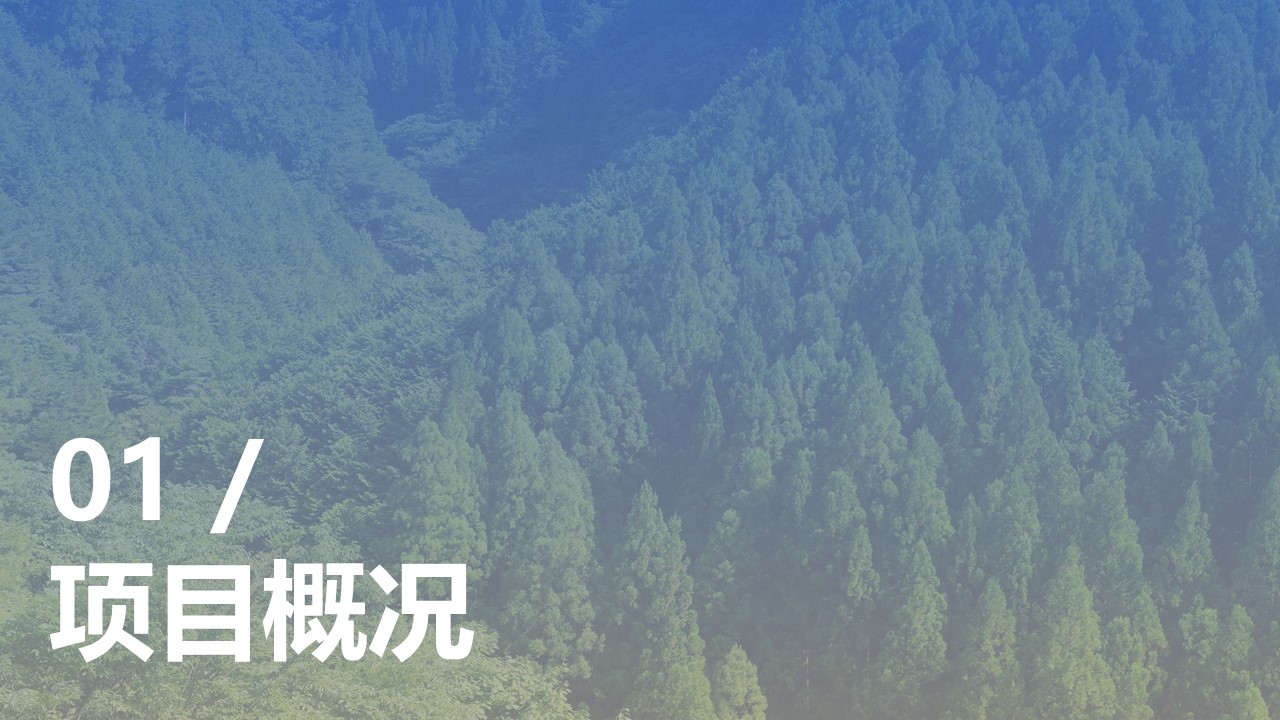 露营地场地运营规划项目概念策划方案 第3页