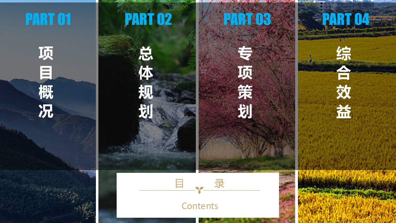 露营地场地运营规划项目概念策划方案 第2页