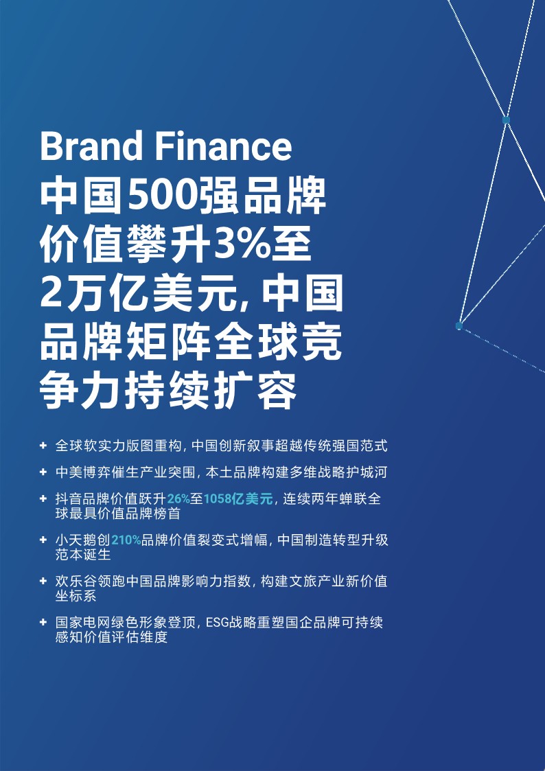 2025年度中国品牌价值500强报告 第2页