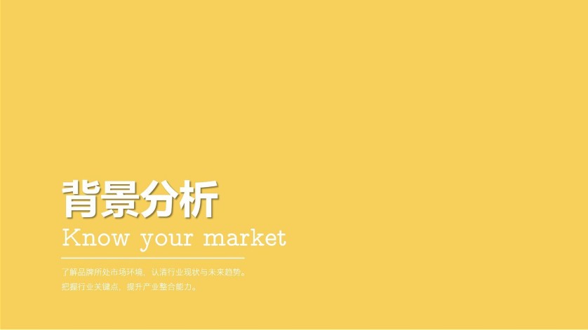 快时尚眼镜品牌策划案+终端店铺运营 第3页