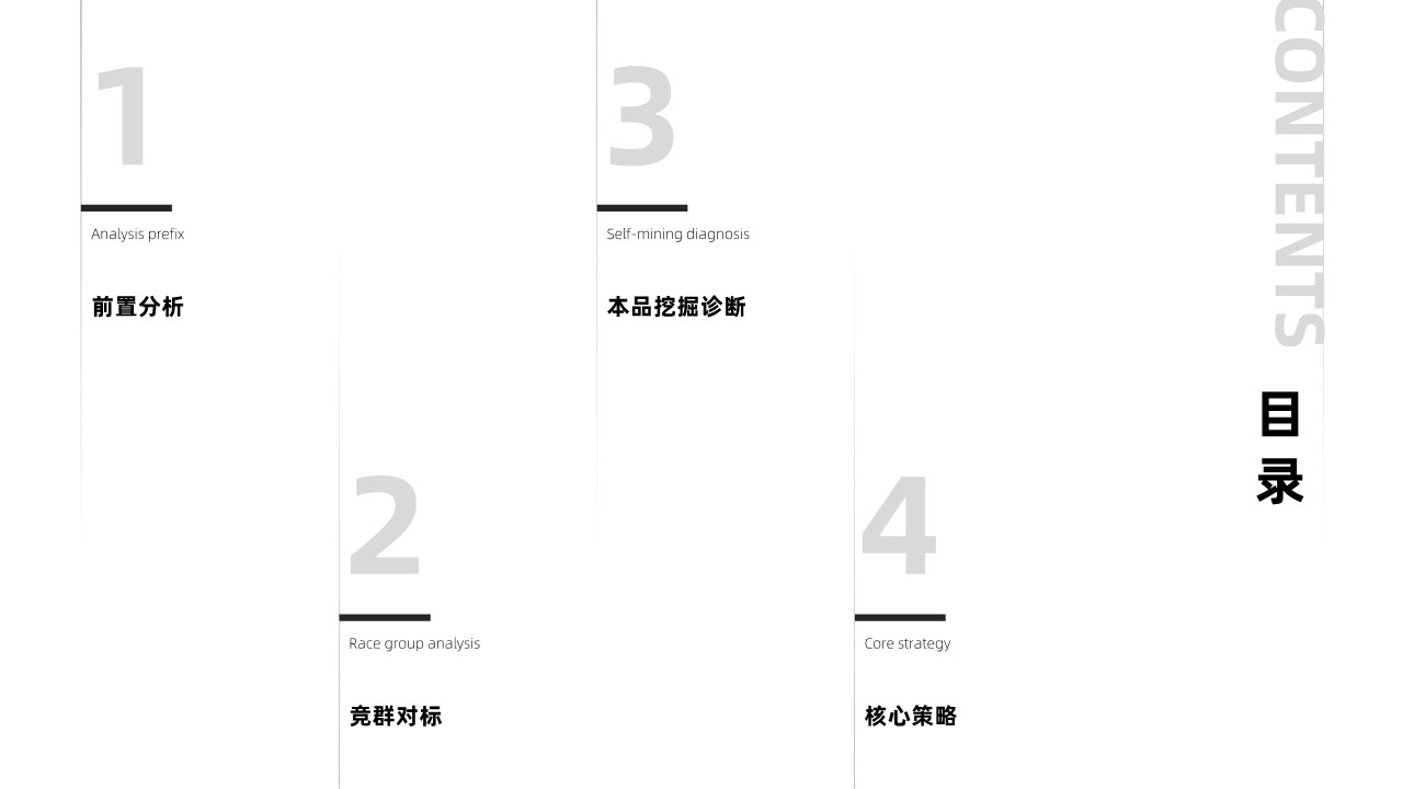 幸会啤酒品牌升级建设营销方案【品牌策略】【全案】 第2页