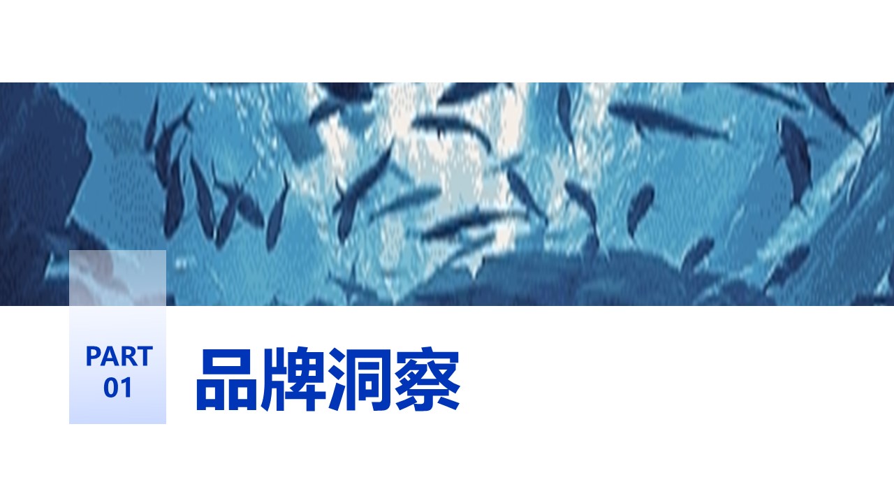 遵义冰雪海洋世界抖音运营策划方案 第3页