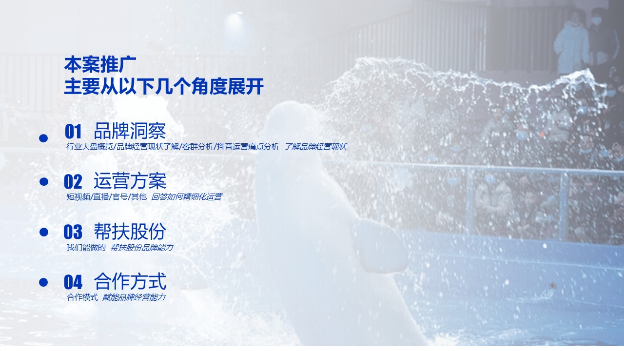 遵义冰雪海洋世界抖音运营策划方案 第2页