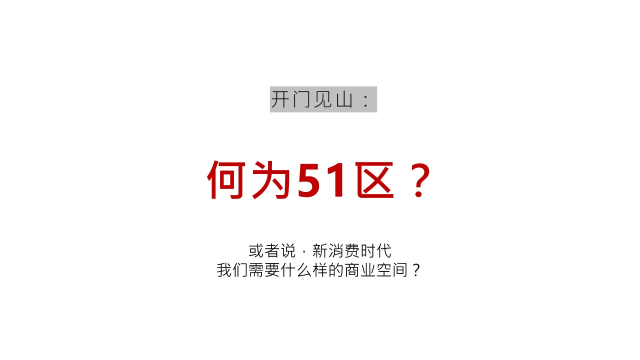 商业街区VI及项目定位策略规划案【商业区VI】【非标商业街区设计】 第2页