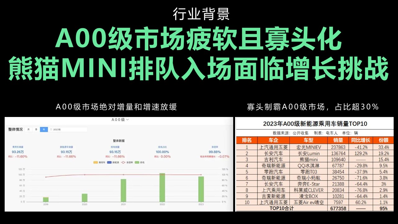 国产新能源汽车吉利熊猫营销策划方案【新车营销】 第3页