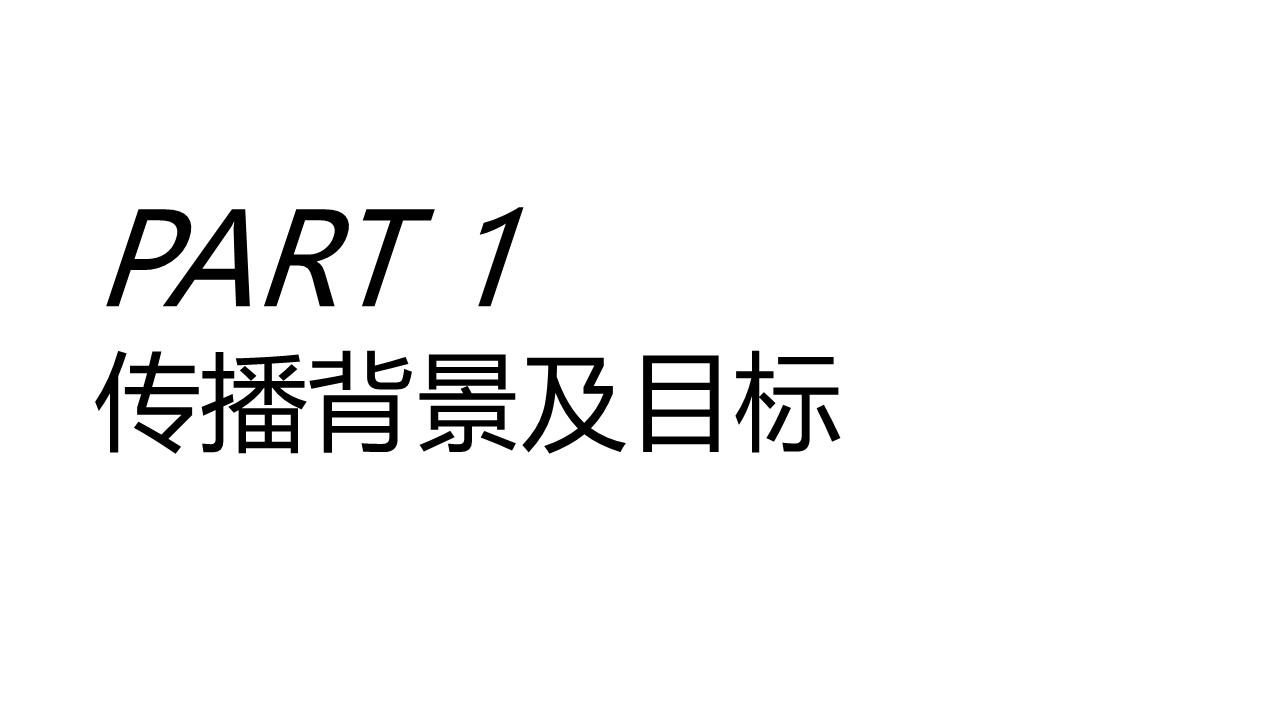 国产新能源汽车吉利熊猫营销策划方案【新车营销】 第2页