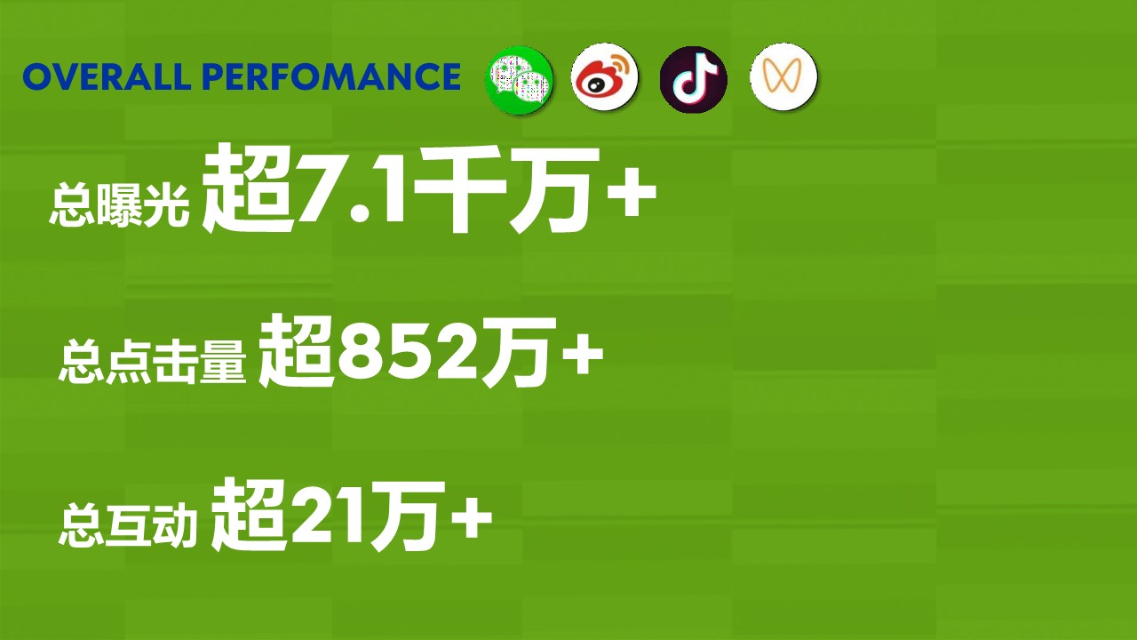 乐堡啤酒1376装上市传播结案报告案 第2页