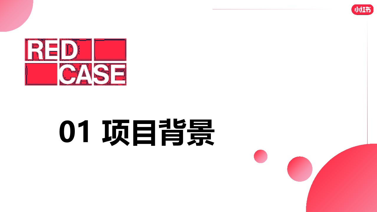 乐事薯片小红书营销：从用户心中来，到用户心中去的大单品【结案】 第3页