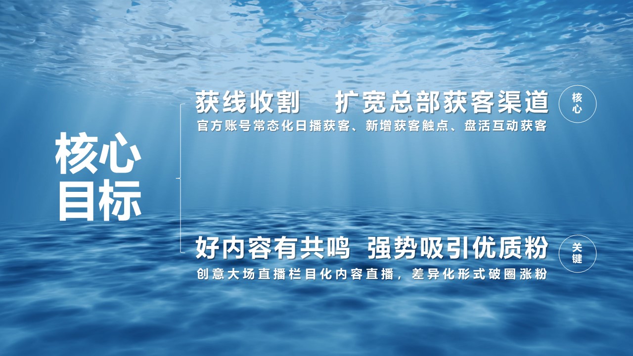 2024-2025年比亚迪海洋系列新媒体官方账号年度直播运营方案 第3页