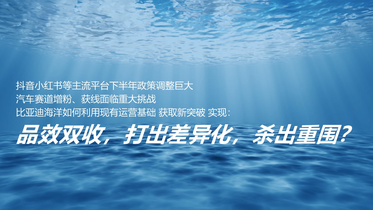 2024-2025年比亚迪海洋系列新媒体官方账号年度直播运营方案 第2页