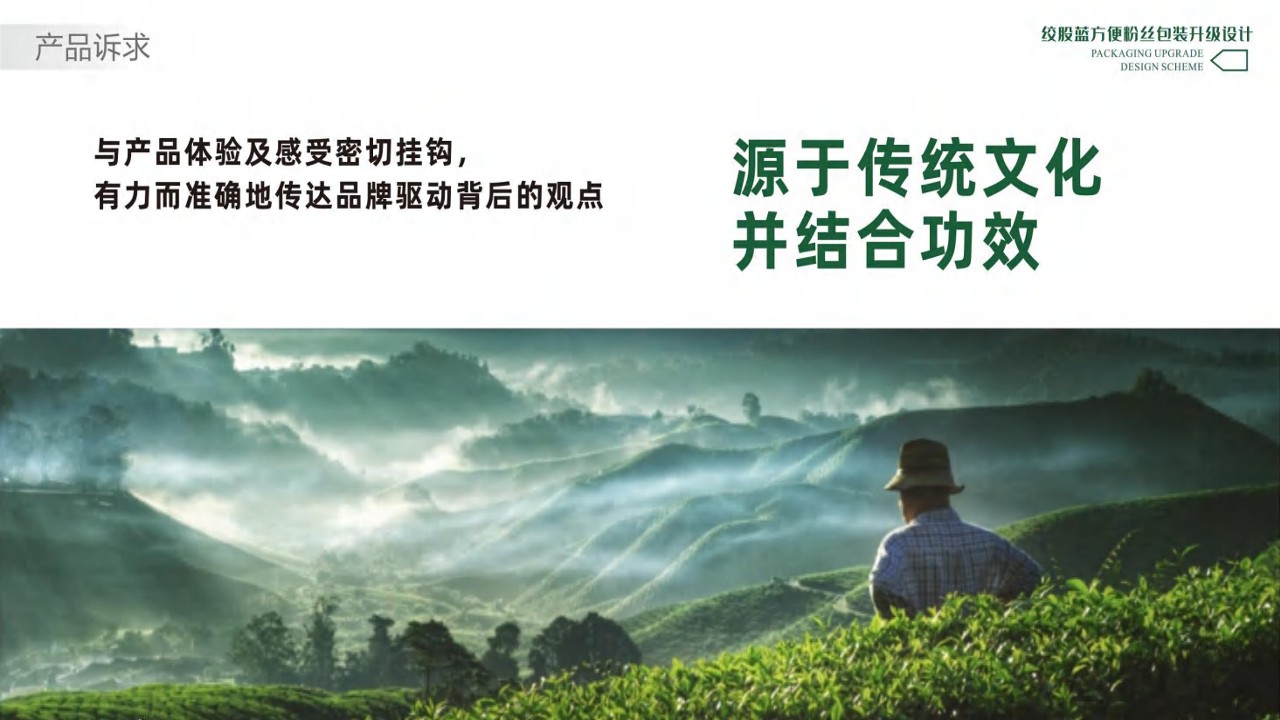 绞股蓝方便粉丝包装升级设计方案 第3页