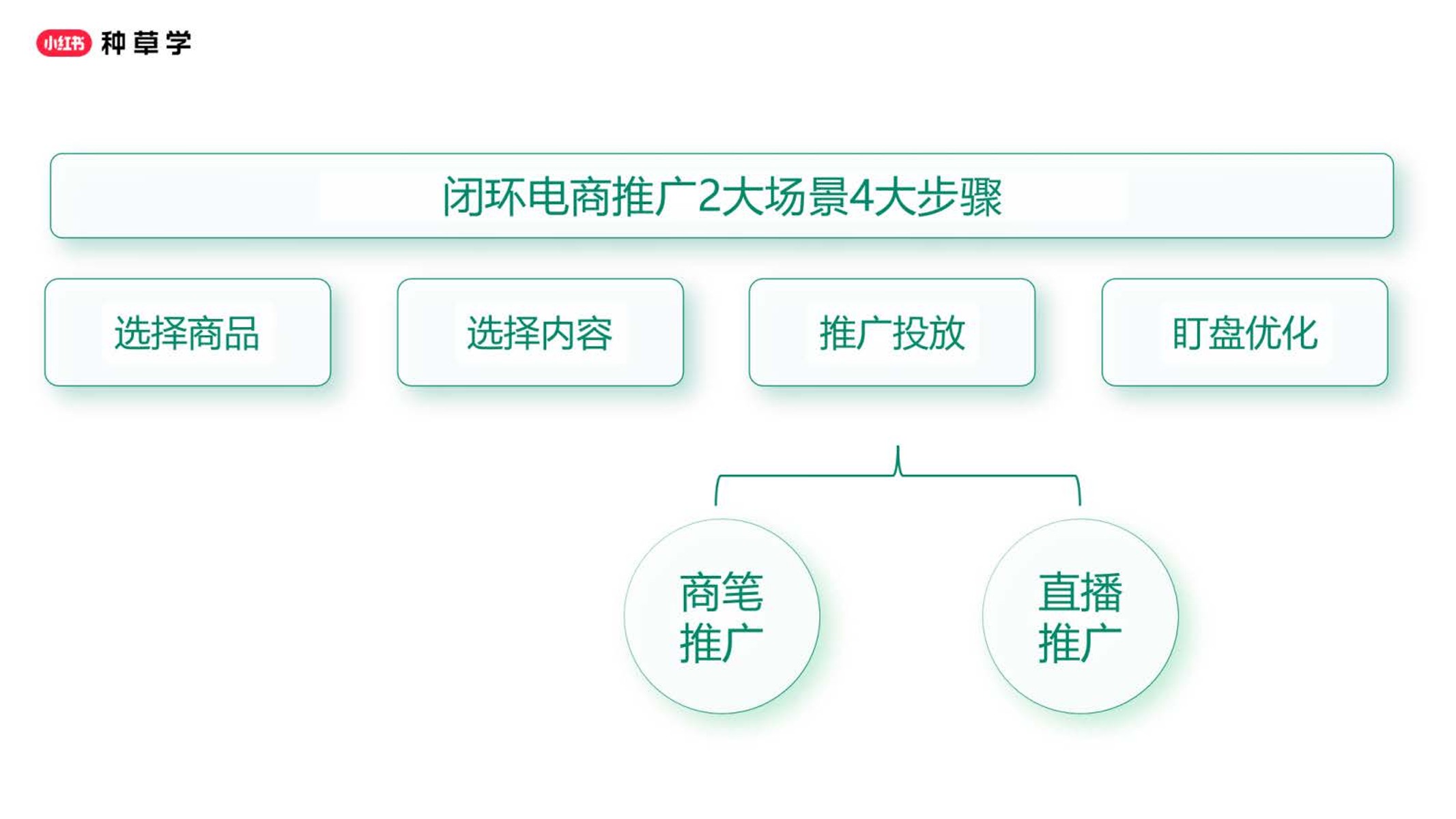 小红书直播推广投放指南【小红书运营】 第3页