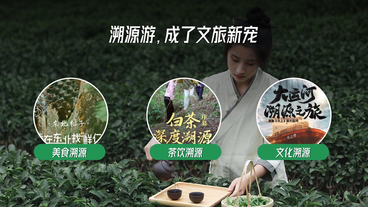 去哪儿网2025年「寻味溯源」营销招商通案 第3页