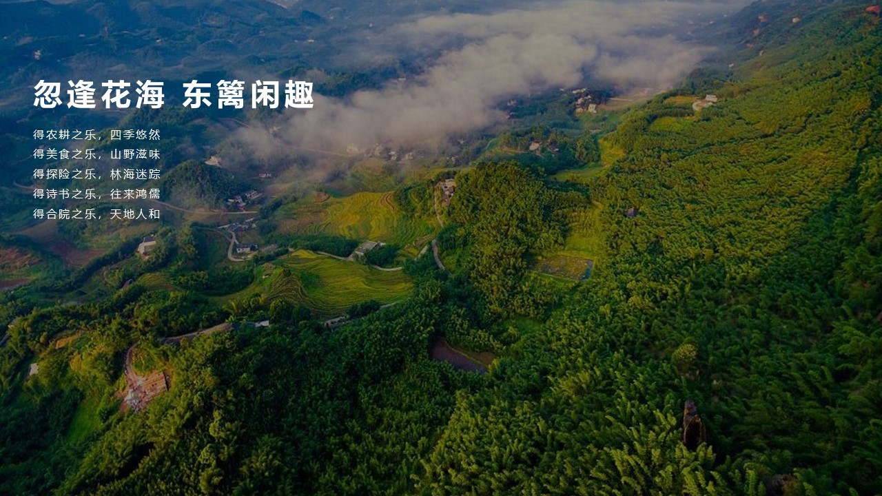2025文旅景区夏日生活节&ldquo;夏半闲趣&middot;悠然花海节&rdquo;主题活动策划方案【夏季活动】 第2页