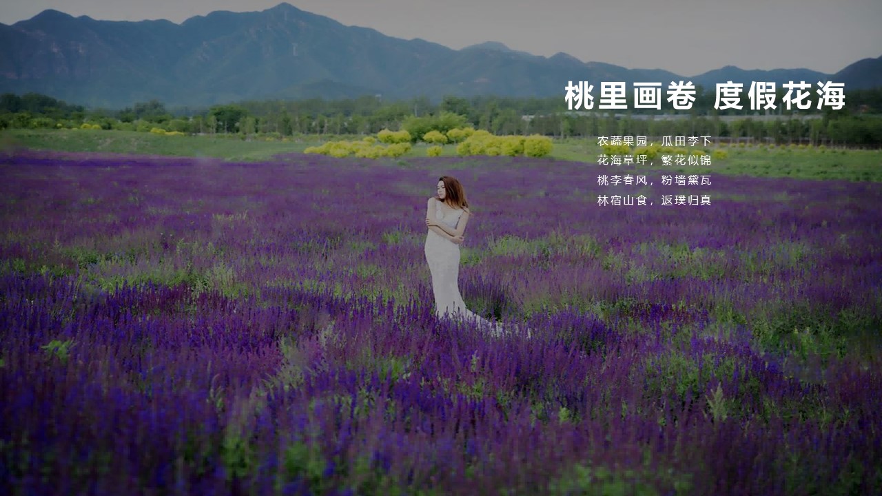 2025文旅景区夏日生活节&ldquo;夏半闲趣&middot;悠然花海节&rdquo;主题活动策划方案【夏季活动】 第3页